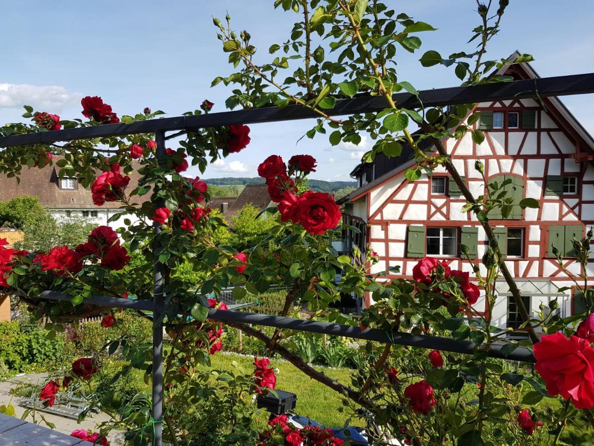 Garni-Hotel Muehletal Stein Am Rhein Luaran gambar
